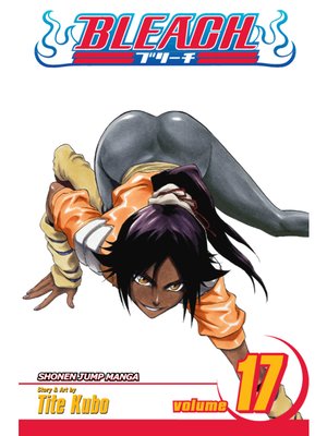 Bleach, Volume 17 - ebook
